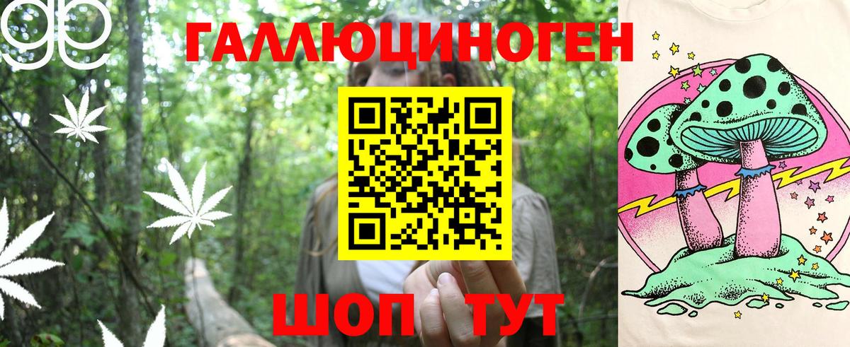 Галлюциногенные грибы прущие грибы Елизово