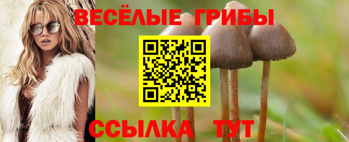 Галлюциногенные грибы GOLDEN TEACHER  Вход с VPN  Галлюциногенные грибы ЛСД  Елизово 